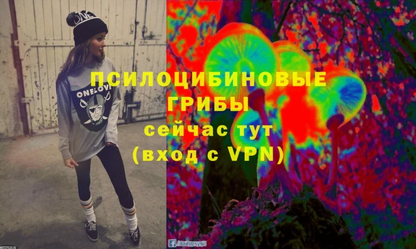 индика Абинск