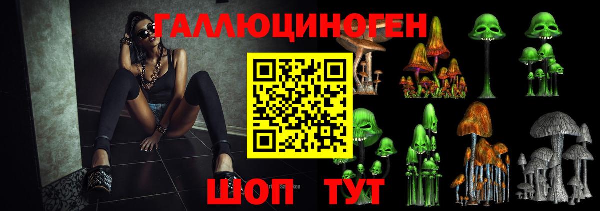 Галлюциногенные грибы мухоморы  купить наркоту  Тулун  Вход с VPN 